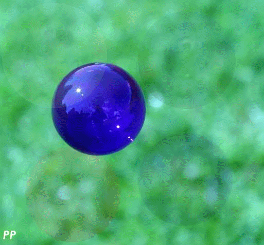  LA VIE DES BULLES