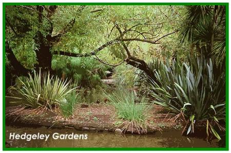    PLANTES ET PAYSAGES d'AUTRALIE
