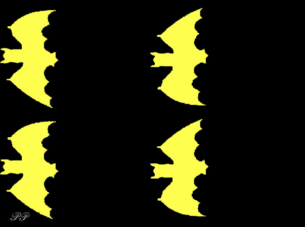  &eacute;cologistes et chauves-souris