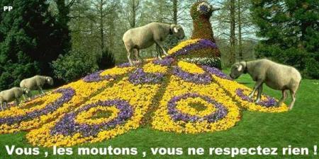   la Nature a ses lois