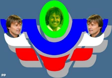    pratiquer l'écologie  a donné des ailes Nicolas Hulot