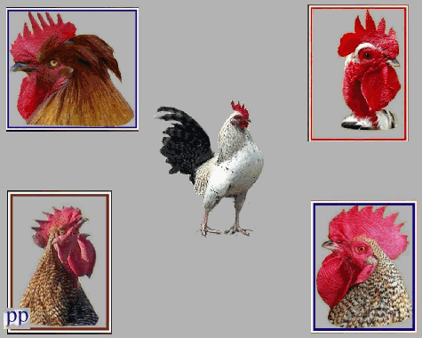  o&ugrave; est le probl&egrave;me?