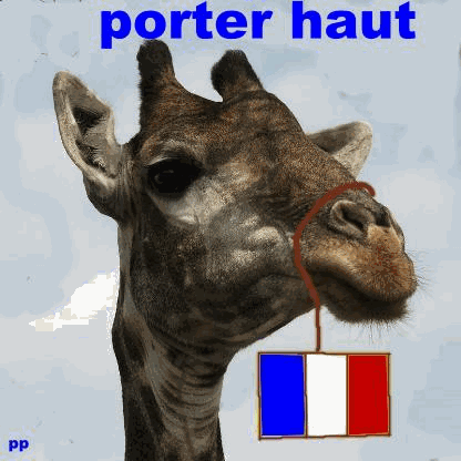  les couleurs de la FRANCE