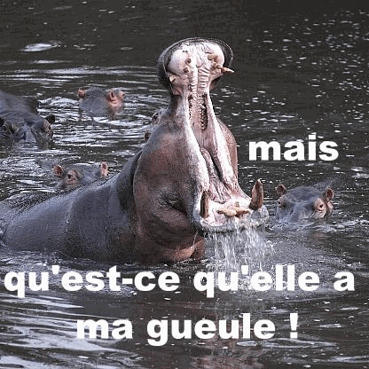  QUOI? ma gueule...