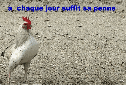   proverbe de basse-cour