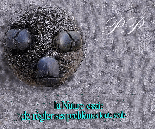  la Nature essaie de règler certains problèmes seule...