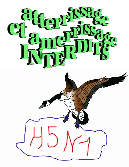  on le redoutait : le H5N1 a fait son apparition..