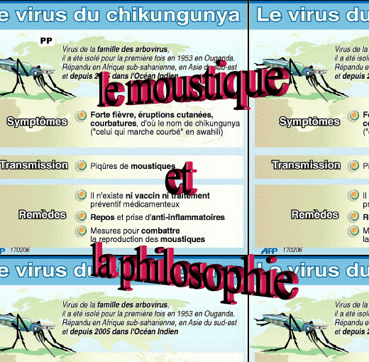    en quoi sommes-nous les plus forts ?