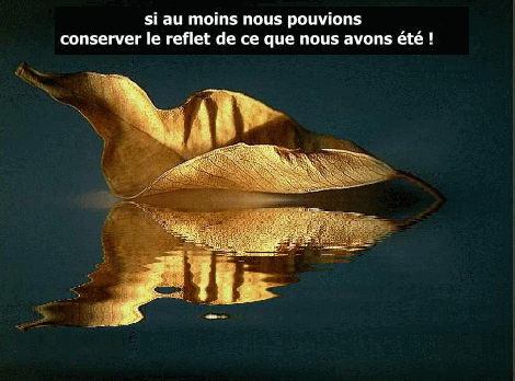 être et avoir été