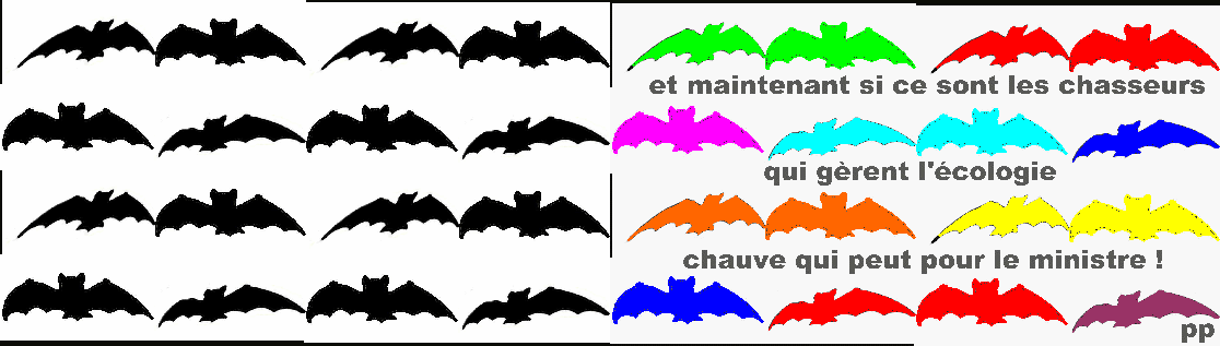  sauvons au moins les chauve-souris !