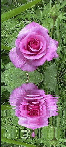 lien vers un site de chansons fran&ccedil;aises