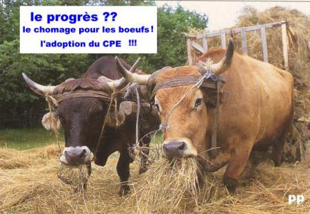 adoption du CPE