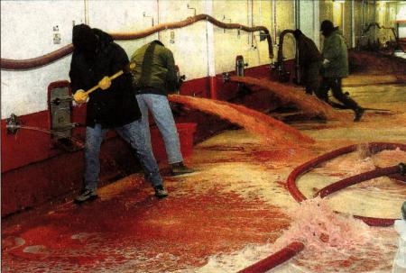  les nouveaux vignerons-casseurs