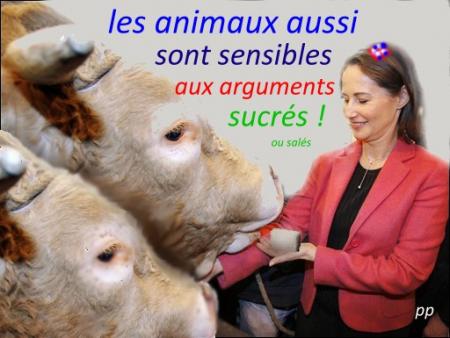 salon de l'agriculture...