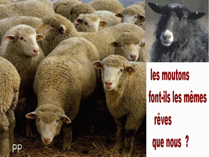 r&ecirc;ves de moutons ...