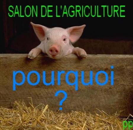  QUESTION ESSENTIELLE