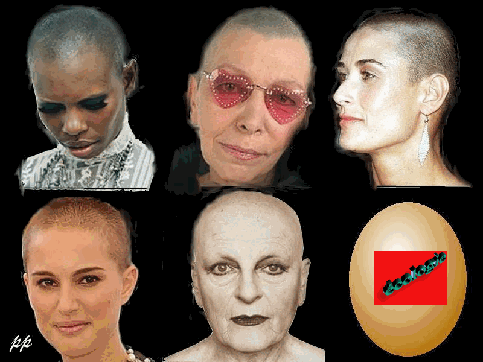 les femmes et l'&eacute;cologie