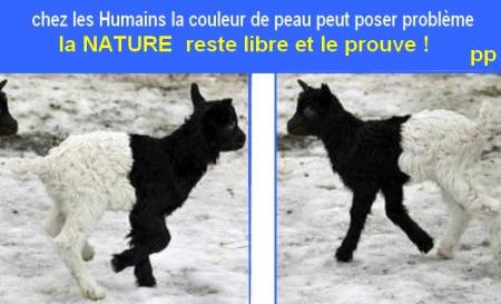  la Nature proclame sa liberté