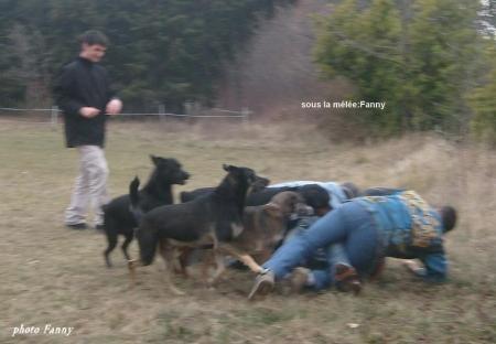  la m&ecirc;l&eacute;e