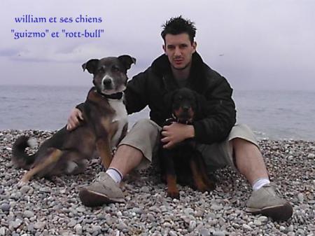 william et ses chiens : gizmo et rott-bull