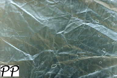 de Rien ne na&icirc;t Rien...