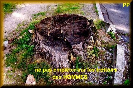 respecter les trottoirs !