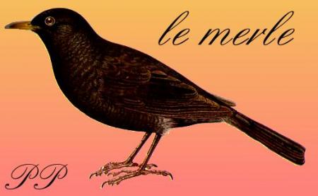 la joie des matins d'été...