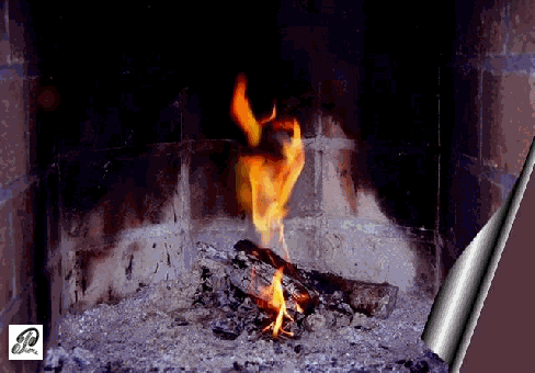  pr&eacute;server la VIE