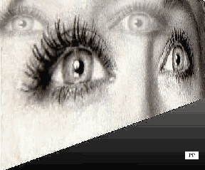  la lumière et les yeux
