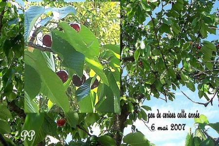 CERISES 2007