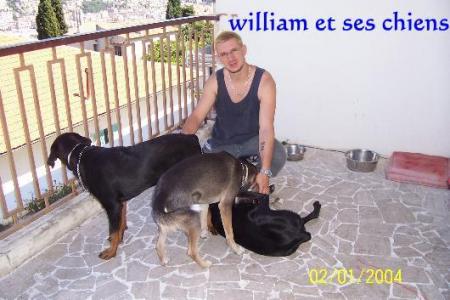 william et ses chiens