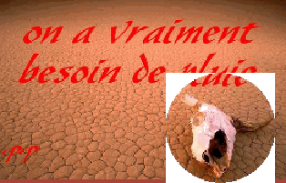  sècheresse sur le Gard en Juin 2006