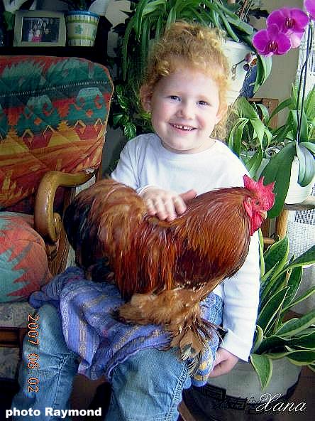 Xana et  le coq