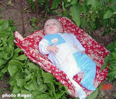 Romain et l'&eacute;cologie...