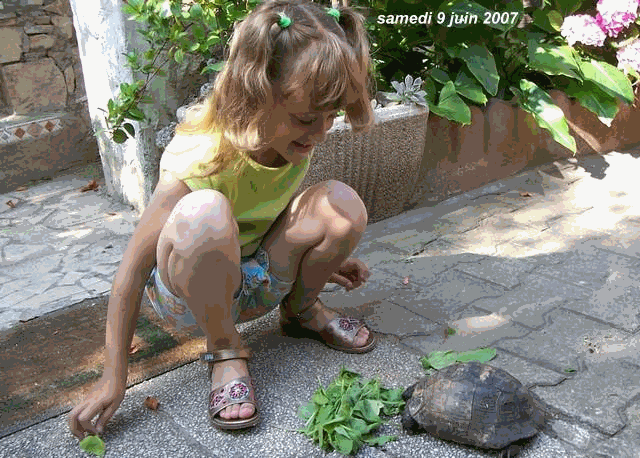 CHLOEE  fait manger sa tortue