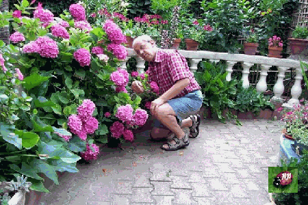  pour avoir un beau jardin il faut parler aux plantes..
