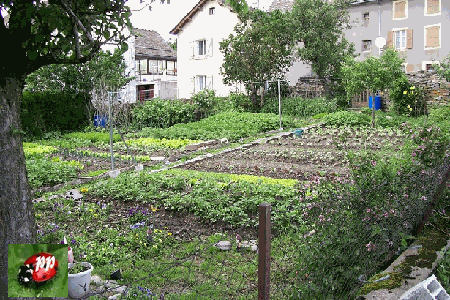 LE JARDIN DE PAULETTE