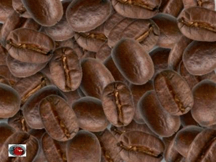  je  boirais bien un café avec vous
