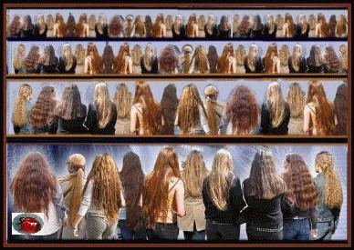   les cheveux longs