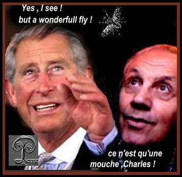 ce n'est qu'une mouche