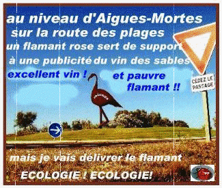 le flamant veut être libre
