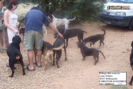 William et Anne-Marie et les chiens du refuge...