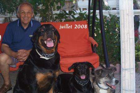 des chiens tr&egrave;s bien 