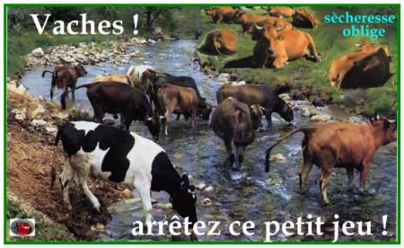 on n'avait pas besoin de ça !