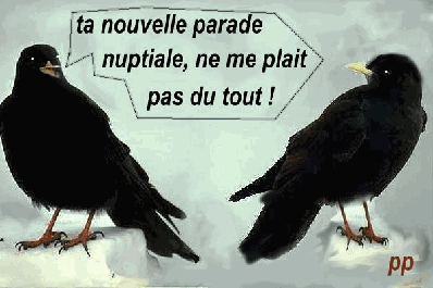 les nouveaux corbeaux