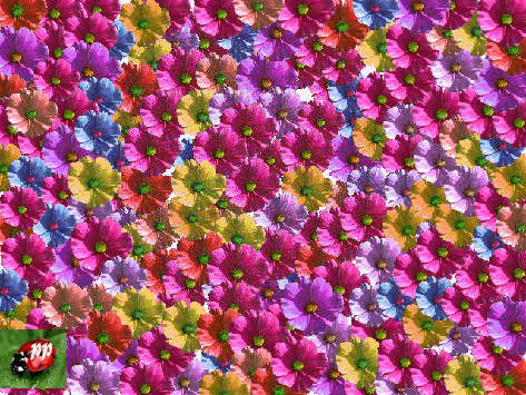 lLa Vie c'est un coeur qui bat