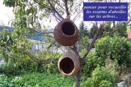 paniers à essaims (vus à COCURES 48 )