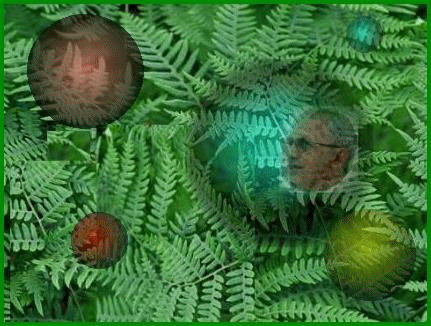 vivre dans la verdure