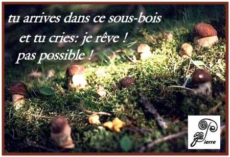 si ! c'est possible! en Lozère