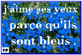  les yeux bleus